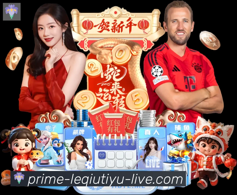 App功能展示图